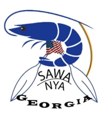 Logo of Sawa Nya Georgia