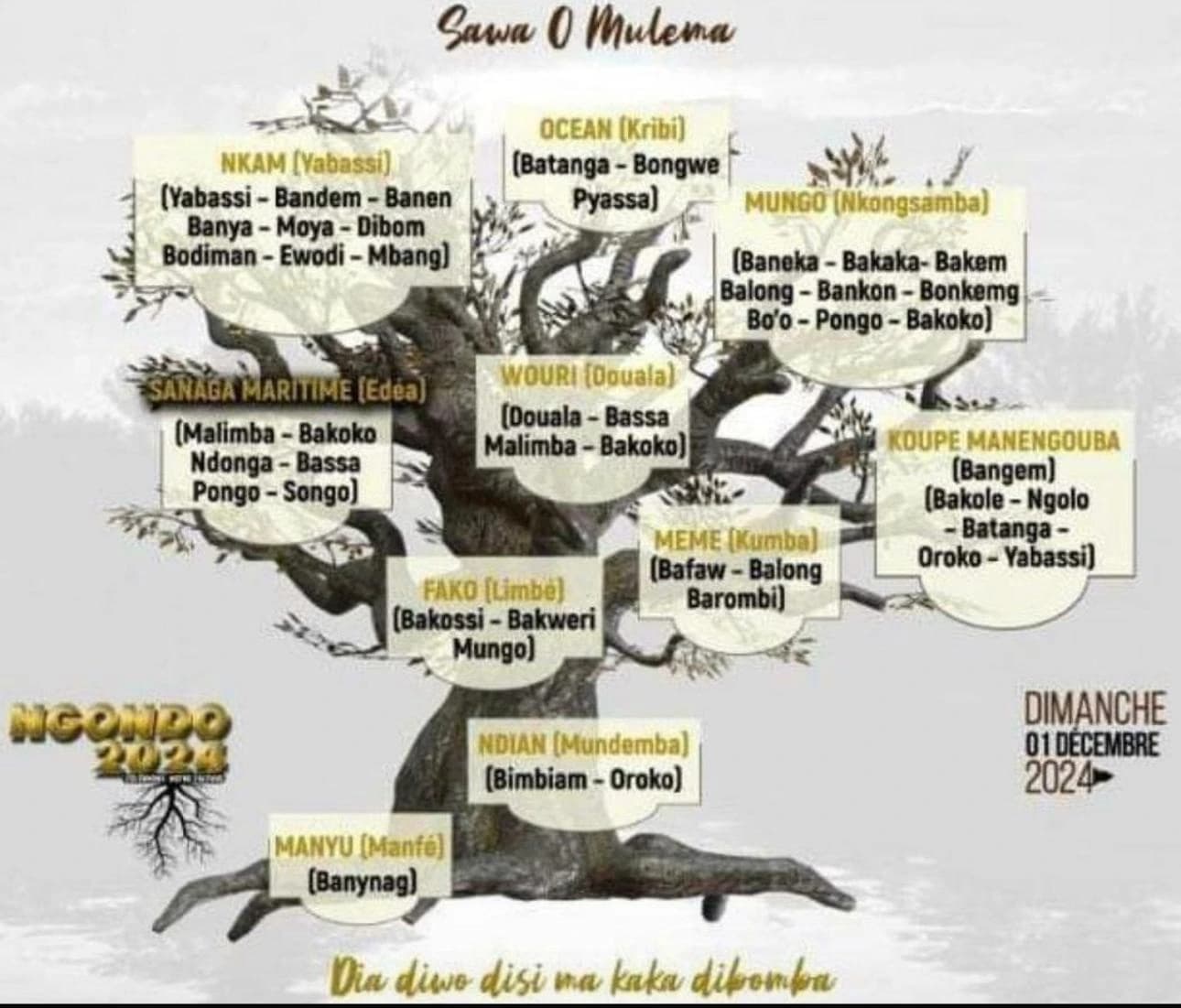 Illustrated tree diagram titled “Sawa O Mulema” grouping Sawa peoples by area, marked “Ngondo 2024”.